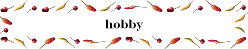hobby